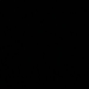 Meet your Posher, Jack